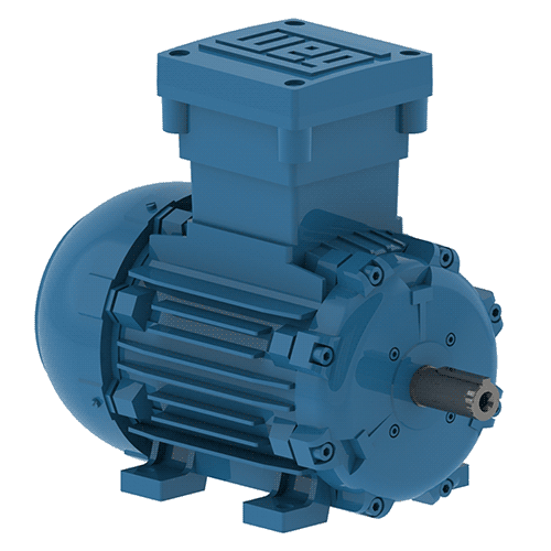 萬(wàn)高W21-隔爆電機(jī)-ExdII BT4